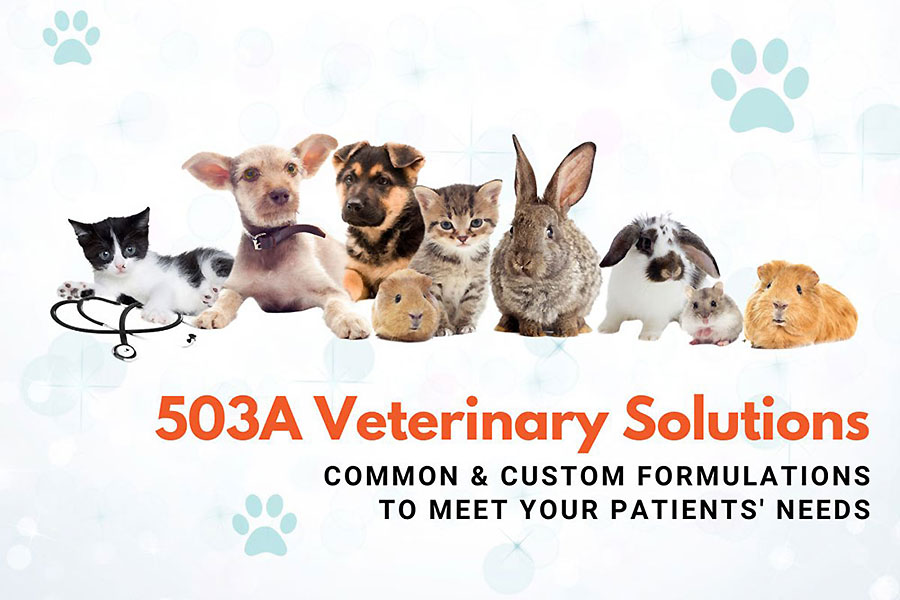 503A Veterinary Solutions